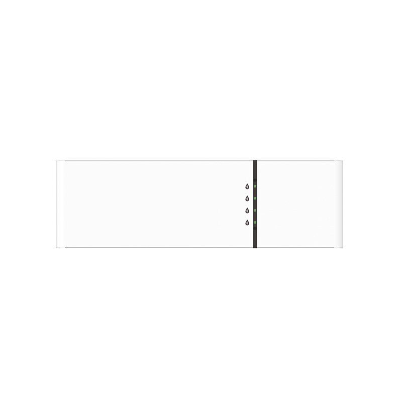 FLS48100-5M.jpg
